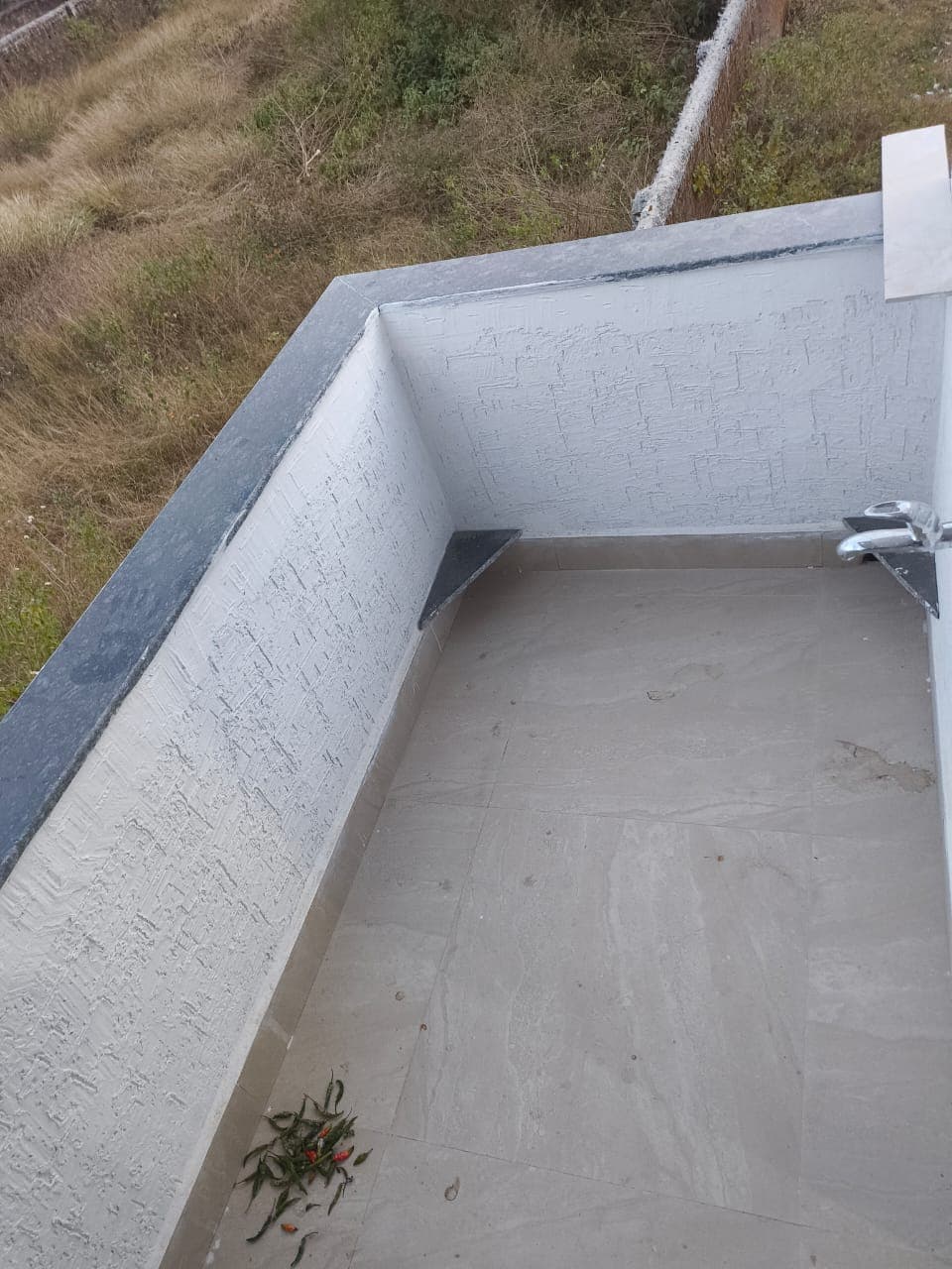 1 BHK in Daladali - View 3